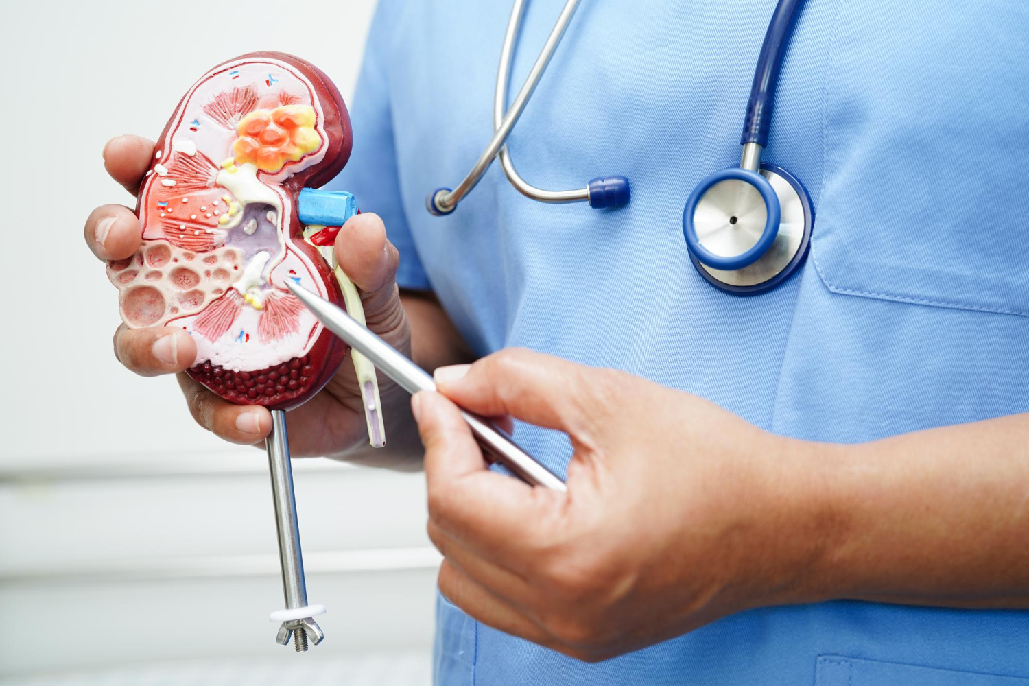 Urology Clinic
